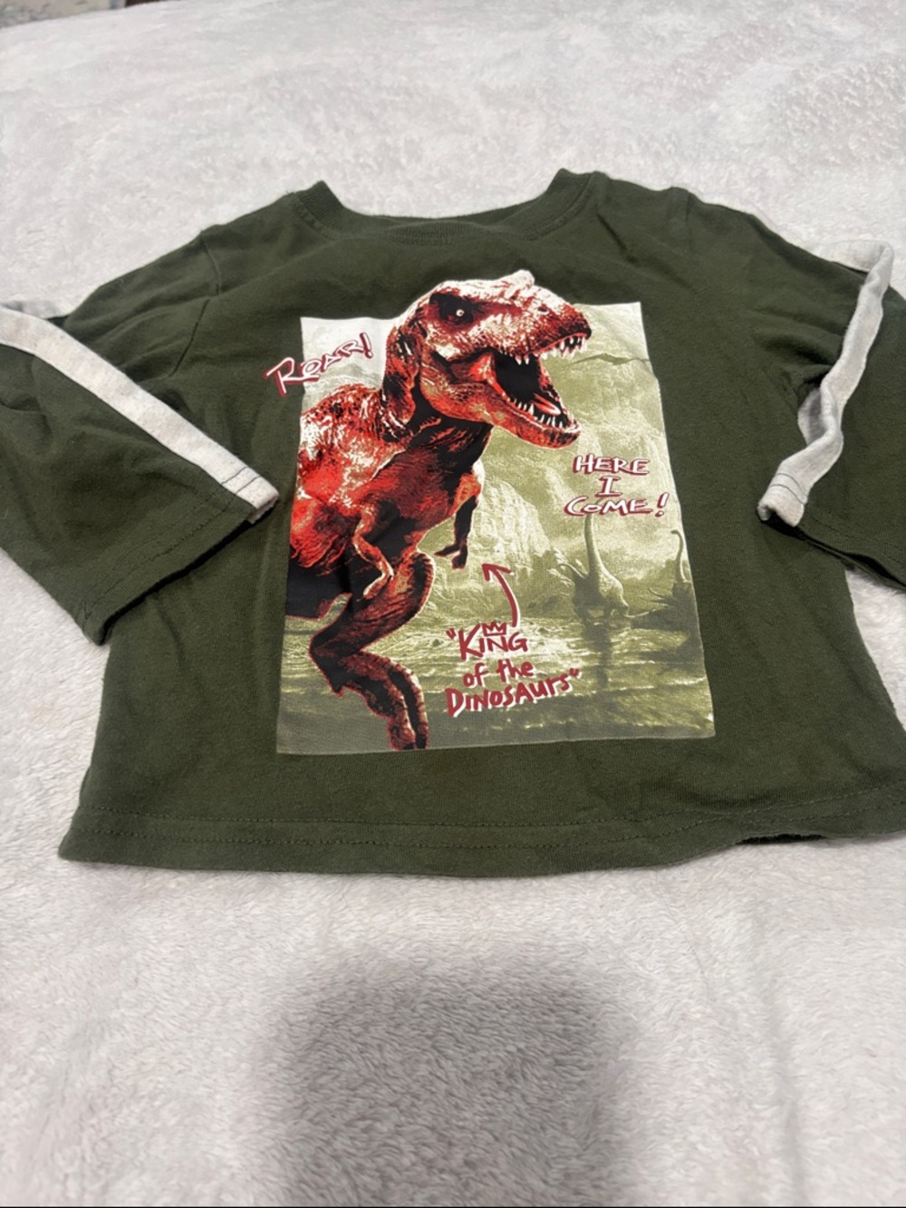 🟢10/$10 - Kids Green Dinosaur Graphic Long-Sleeve Tee